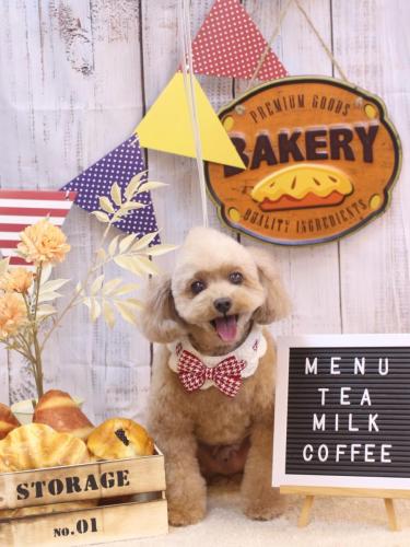 20240906バーディーくん